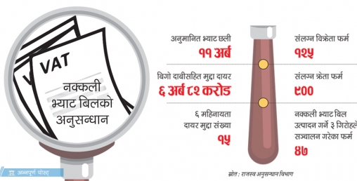 नक्कली भ्याटमा ११ अर्बको मुद्दा
