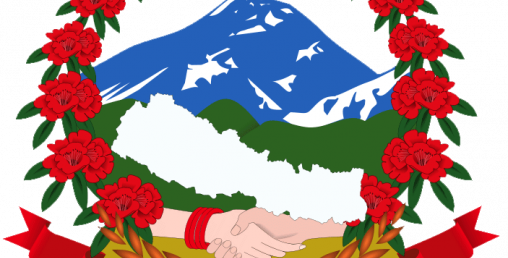 दोहोरो सुबिधा लिन्छन्  संबैधानिक प्रमुखहरु