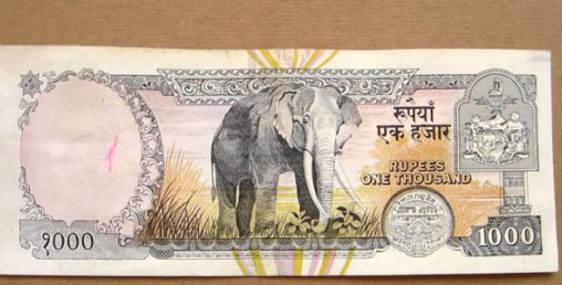 अब एक हजारको नोटमा दुई वटा हात्ती हुने