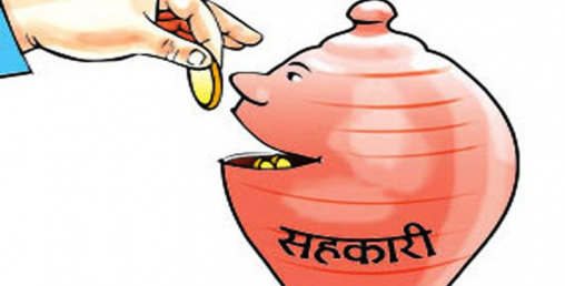 प्रतिव्यक्ति दुई रुपैयाँबाट शुरु गरिएको बचत वार्षिक छ करोड बढी