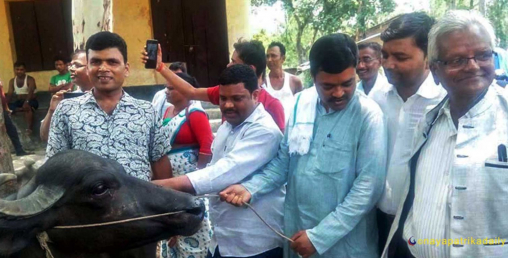 सहिद परिवारका नामको दुहुनो भैँसी पूर्वमन्त्रीले मुस्कुराउँदै लगे