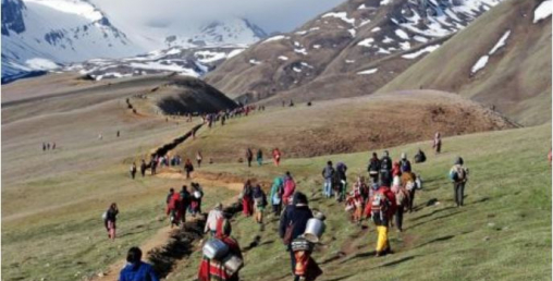 यार्सागुम्बा टिप्न नपाइने