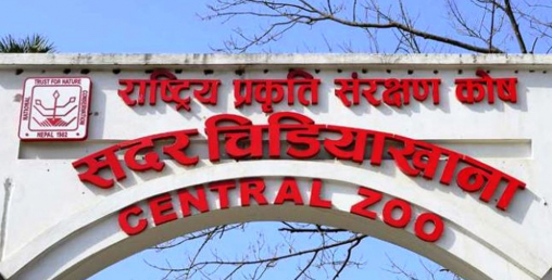 चिडियाखाना सूर्य विनायक सार्ने विषयमा यसो भन्छन् ललिपुरका मेयर महर्जन