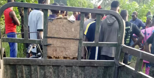 गोठालाहरुले आक्रमण गर्दा ५० जनाको मृत्यु