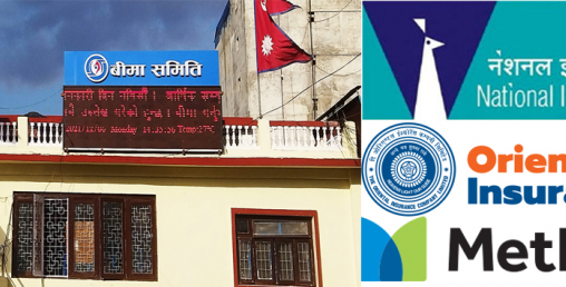 विदेशी बीमा कम्पनीका शाखाले कसरी पुँजी पुर्याउने योजना बनाउँदैछन् ?