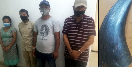 सिनामंगलबाट गैंडाको खागसहित ४ जना पक्राउ