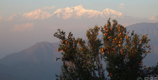 यस्तो रमाइलो पर्यटकीय गन्तव्य पामडाँडा