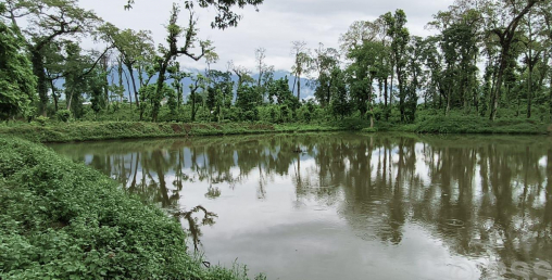 वन्यजन्तुका लागि सामुदायिक वनमा पोखरी