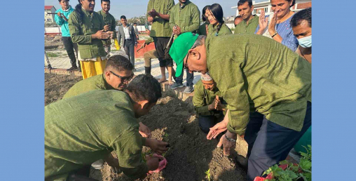 प्रधानमन्त्री प्रचण्डले बालुवाटारमा थाले तरकारी खेती