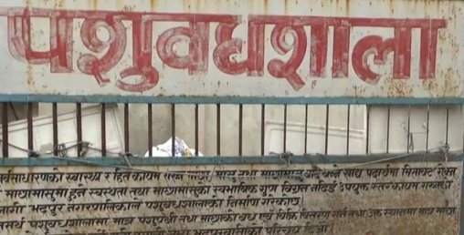 ३० करोडको लागतमा पशुवधशाला निर्माण