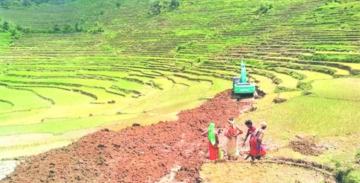 असारे विकासः भर्खर धान रोपेको खेतमा कुद्यो डोजर