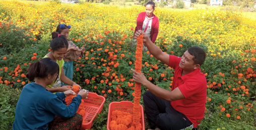 यस पटकको तिहारको मालाको ९० प्रतिशत स्वदेशी उत्पादनले धान्यो
