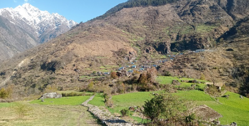 साइपालमा खाद्य संकट, सिंहदरबार नधाए पुग्दैन चामल