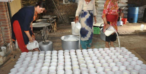 धान दिवसमा बिक्यो ७ करोडको दही