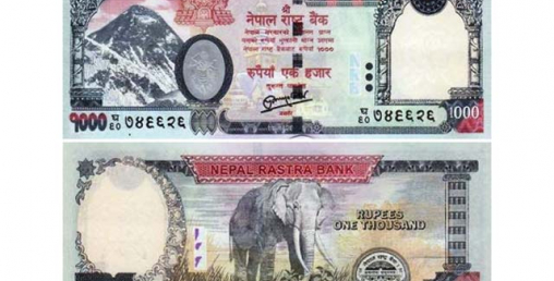 हट्ने भयो हजारको नोटमा भएको हात्ती