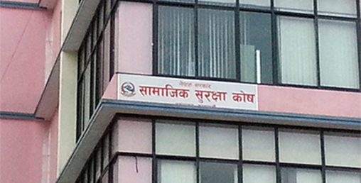 व्याज र प्रतिफल योगदानकर्ताको खातामा