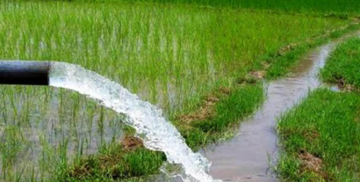 गण्डकी प्रदेशको ६६ हजार हेक्टरमा बाह्रैमास सिँचाइ