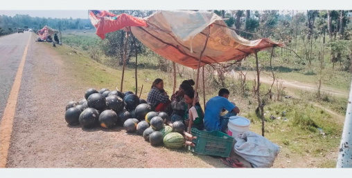तरभुजा बेचेरै ९० भन्दा बढी परिवारले जीविकोपर्जन गर्दै
