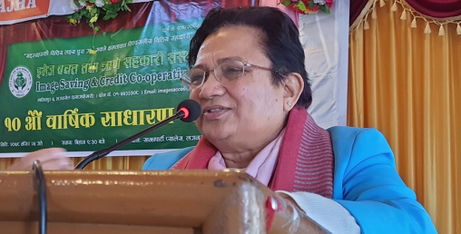 ‘शेयरधनीलाई बोनस होइन, विद्युतीय चुल्हो बाडौं’