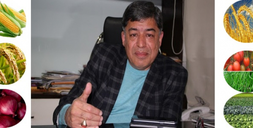 प्याज महँगिदा ठूला व्यापारी समेत चिन्तित, कृषिमा ५ अर्ब लगानी गर्ने दिपक मलहोत्राको यस्तो छ योजना