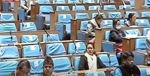 सरकारी वेबसाइट सुरक्षित बनाउन माग