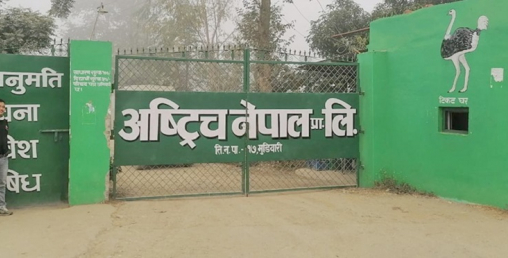 होटल बन्द हुँदा अस्ट्रिच व्यवसाय पनि ऋणमा डुब्यो