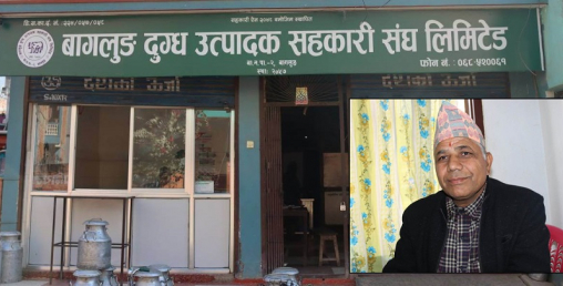 कृषि सहकारीको पिडा : दूधमा फ्याट कम हुन्छ, बिक्रिगर्दा भ्याट लाग्छ