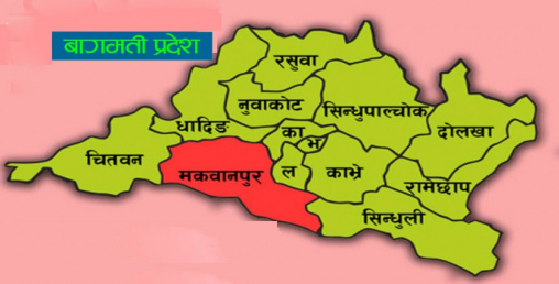 बागमतीमा फलफूल तथा मसलाको उत्पादन २.३ प्रतिशतले बढ्यो
