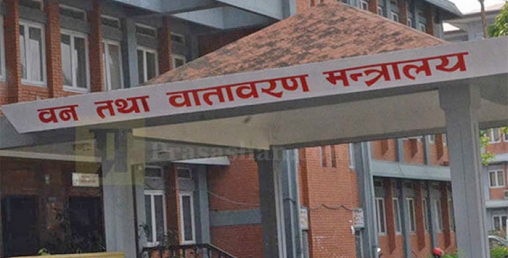 वन मन्त्रालयका आठ सहसचिवको सरुवा