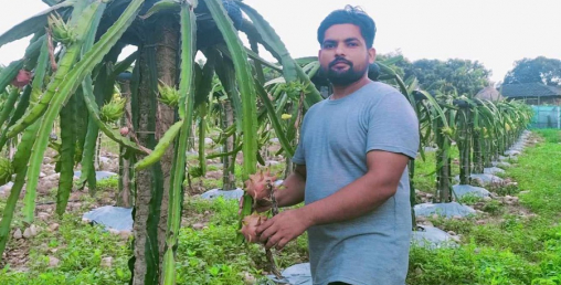 भरत काफ्लेले यसरी भेटे गाउँकै माटोमा पैसा