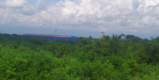 नीतिगत समस्याले जङ्‌गलमा परिणत हुँदै भैरहवा सेज