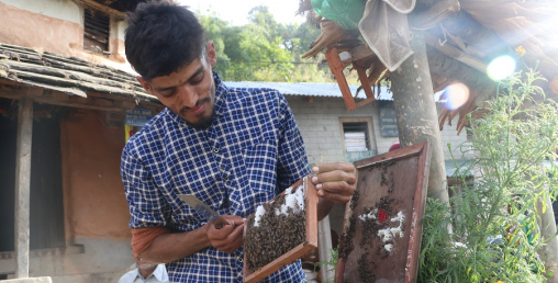 मौरी पालनबाट राम्रो आम्दानी गर्दै तोगीका युवा