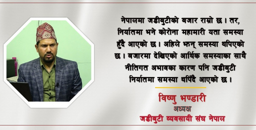 ‘जडीबुटीबाट लाभ लिने हो भने सरकारले कानमा तेल हालेर बस्नु हुँदैन’