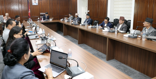मन्त्रिपरिषद्ले सचिवहरुले हचुवाको भरमा लगेका फाइल नै सदर गर्दै