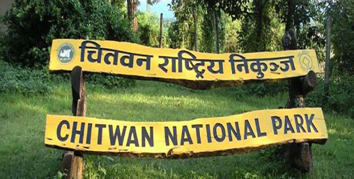 चितवन राष्ट्रिय निकुञ्जमा जीप सफारी खुला