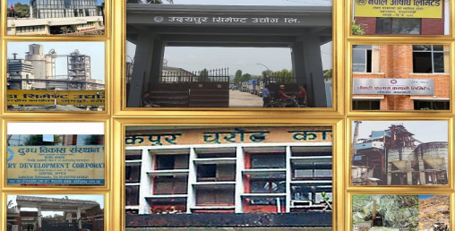 सरकारी १० उद्योगको घाटा १९ अर्ब हाराहारी, उदयपुर सिमेन्ट मात्र नाफामा