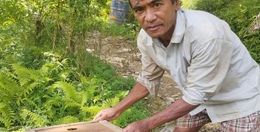 कृषि पेसाबाट वार्षिक १२ लाख आम्दानी गर्छन धनबहादुर