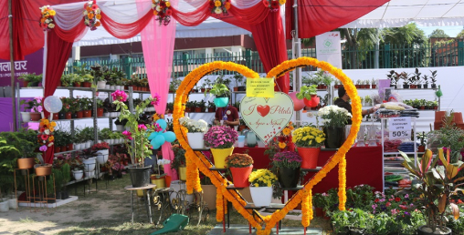 जाउलाखेलमा फूलको प्रतियोगितात्मक प्रदर्शनी (फोटोफिचर)
