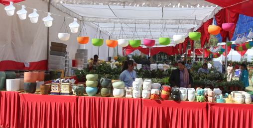 पुष्पमेलामा व्यापार नहुँदा व्यवसायी खिन्न