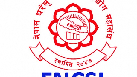 प्यान दर्ता तत्काल सम्भव छैन : महासंघ