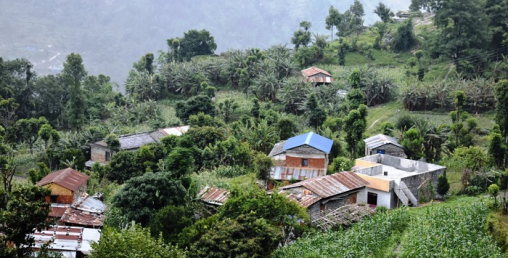 केरा बेचेर वार्षिक डेढ करोडभन्दा बढी आम्दानी