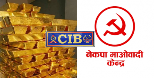माओवादी मुछिएको सुन प्रकरण : थप ३०२ किलो तस्करी भएको सीआइबीको दाबी