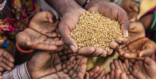 केन्यामा २८ लाख मानिसलाई खाद्य सहयोग आवश्यकता