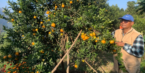 कृषि कर्मबाटै चिनिएका गुप्तप्रसाद, साढे दुई करोड लगानी