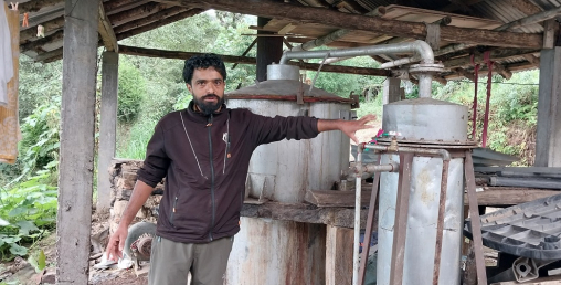 फ्रान्स निर्यात हुन थाल्यो इलाममा उत्पादित जडीबुटी