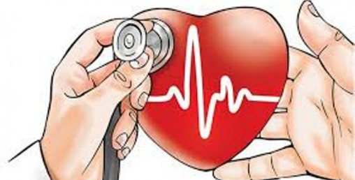 दक्षिण कोरियामा भागदौडमा मृत्यु हुनेमध्ये ५० जनाको हृदयघात भएको आशंका