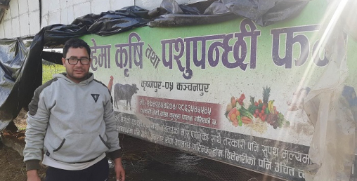 यो हो क्यानडाको भिसा त्यागेर भैंसीपालनमा रमाइरहेका हिक्मतको कथा
