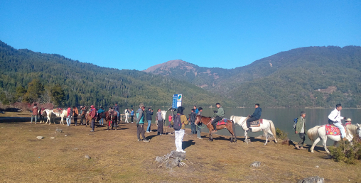 भारी बोक्ने घोडालाई पर्यटक बोक्न भ्याइ नभ्याइ