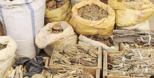 दहमा जडीबुटी संकलन केन्द्र स्थापना