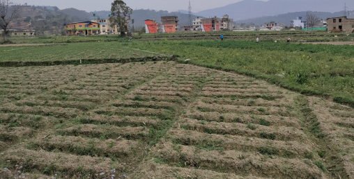 देशभर घर जग्गाको कारोबार ठप्प